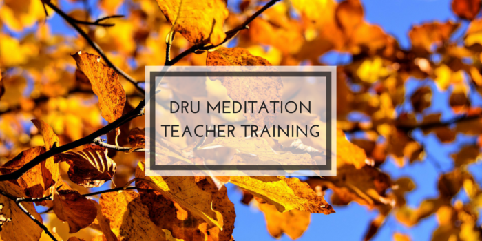 dru meditation teacher training