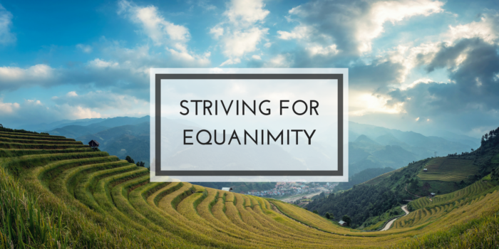 what is equanimity