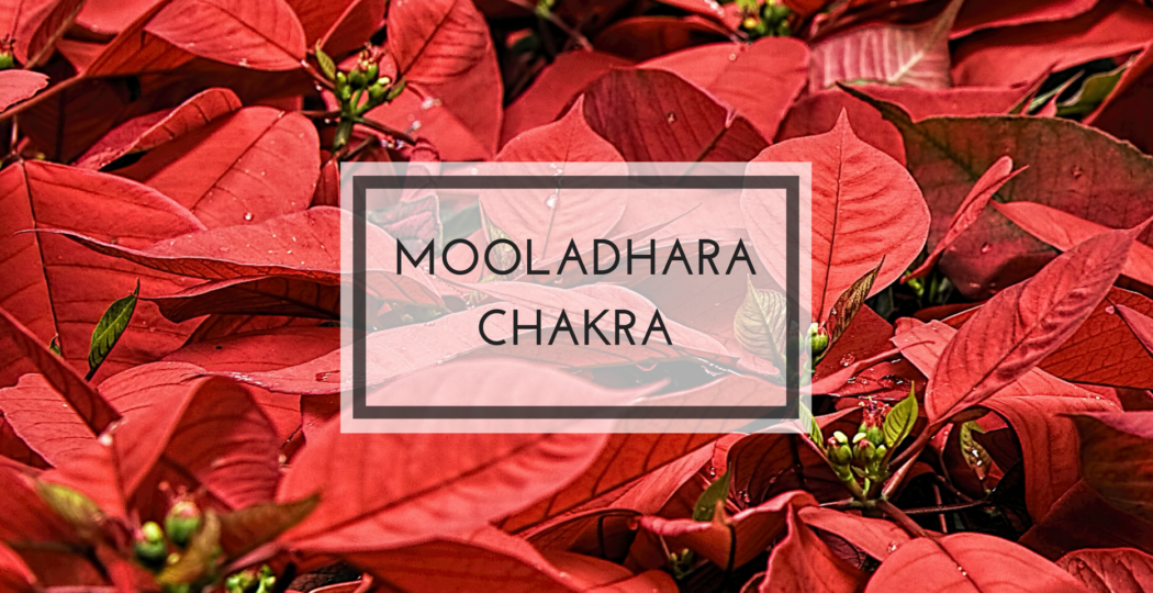 Mooladhara Chakra