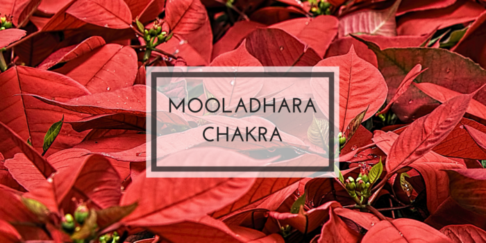 Mooladhara Chakra