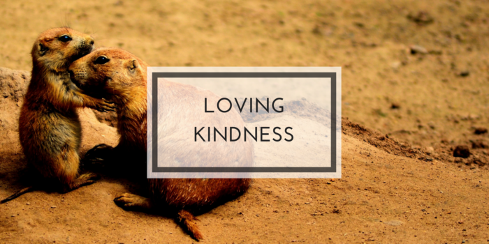 loving kindness