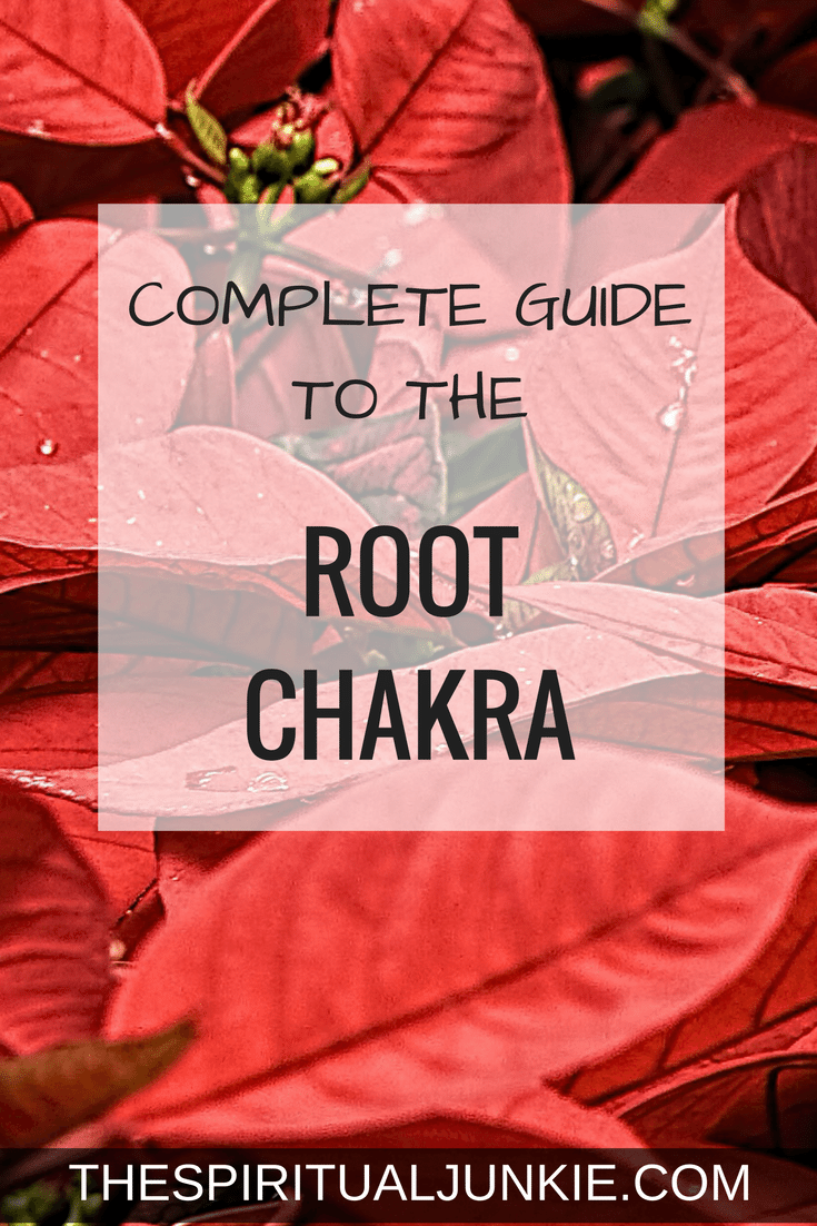 Mooladhara Chakra / Root Chakra